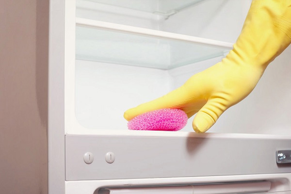 Commercial Refrigerator & Freezer DIY Maintenance Tips | Clean The Interior & Exterior Of The Refrigerator Weekly