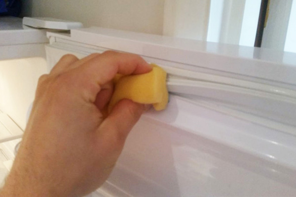 Commercial Refrigerator & Freezer DIY Maintenance Tips | Check the Sealing Gaskets Routinely